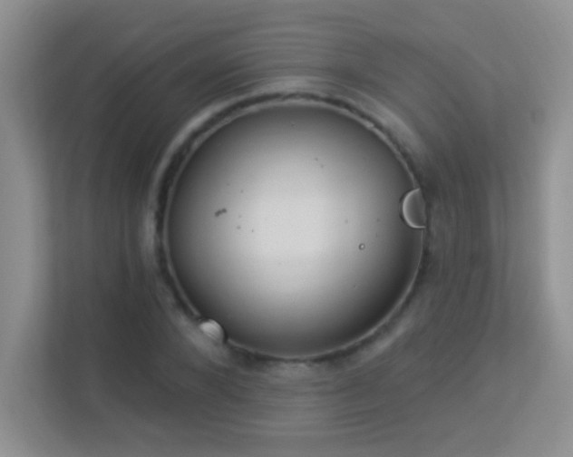 X0000113900880200909241435