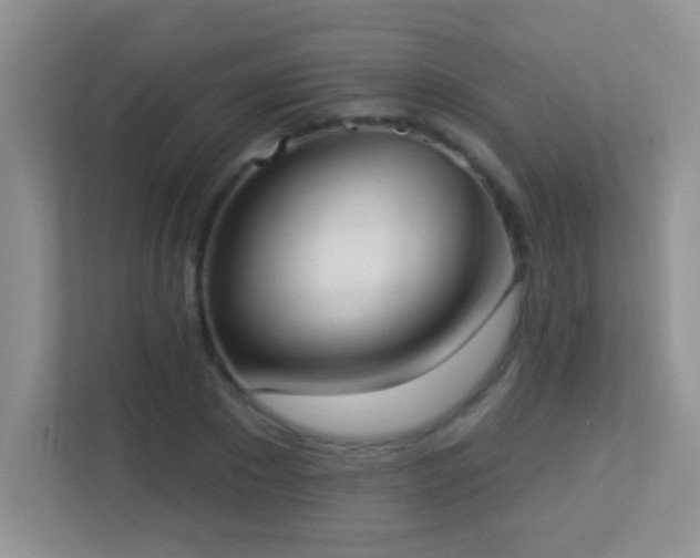X0000113900881200909241435
