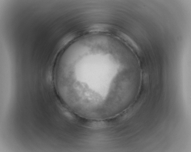 X0000113900882200909241435
