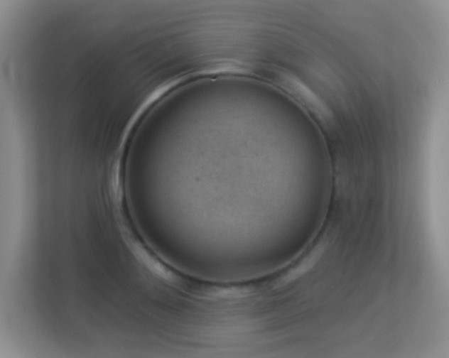 X0000113900892200909241435