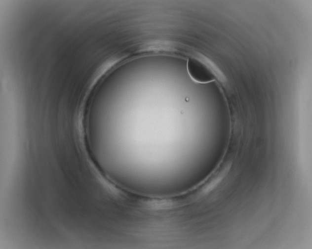 X0000113900893200909241435
