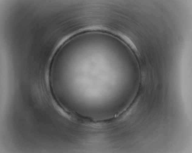 X0000113900895200909241435