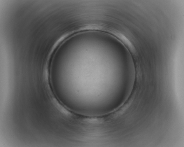 X0000113900896200909241435