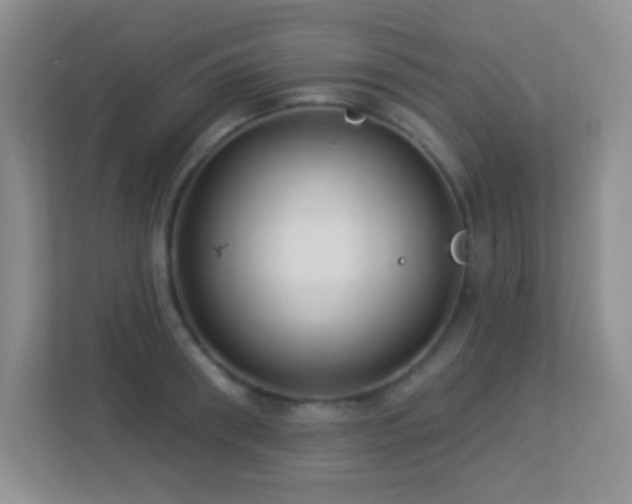 X0000113900898200909241435