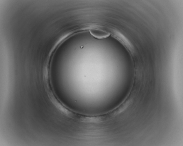 X0000113900900200909241435