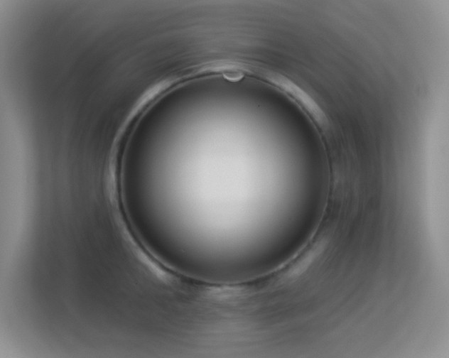 X0000113900902200909241435