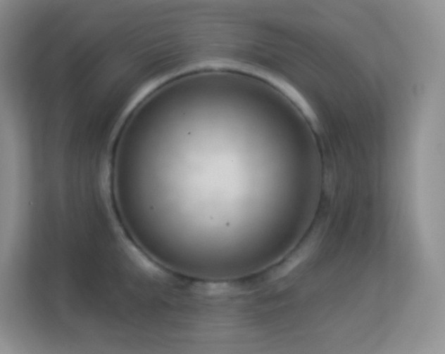 X0000113900903200909241435