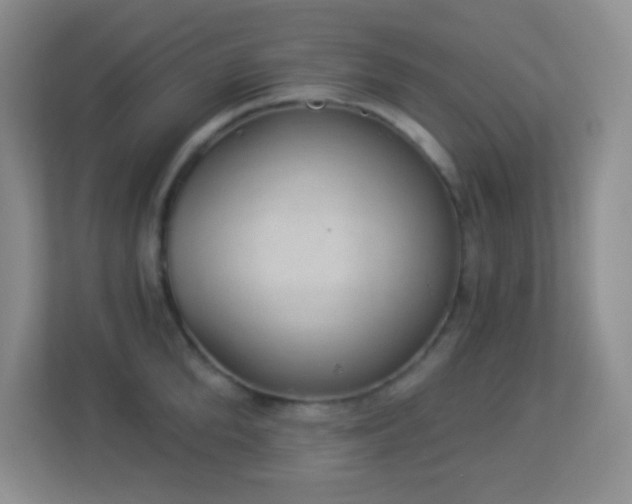 X0000113900904200909241435