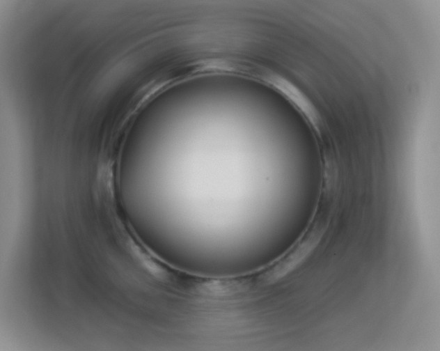 X0000113900906200909241435