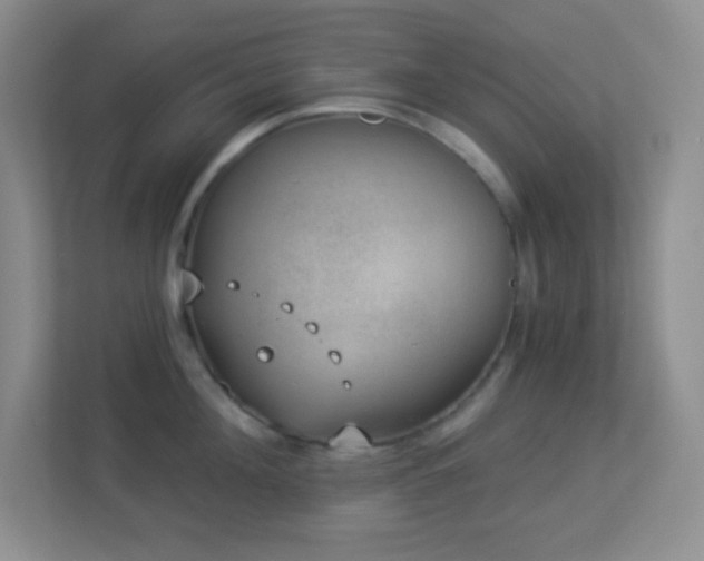 X0000113900908200909241435