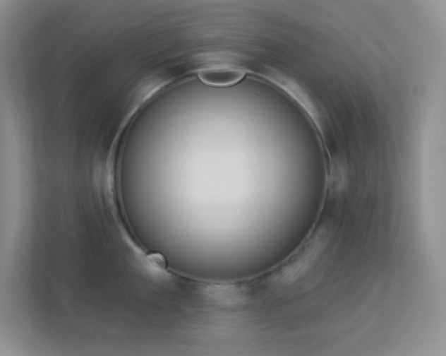 X0000113900909200909241435