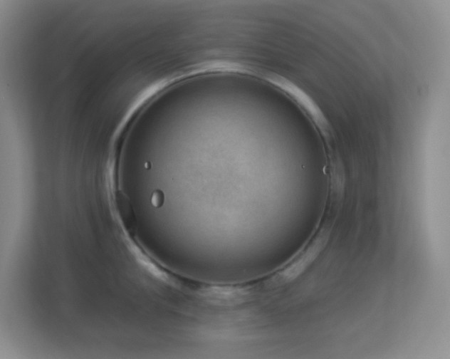 X0000113900910200909241435