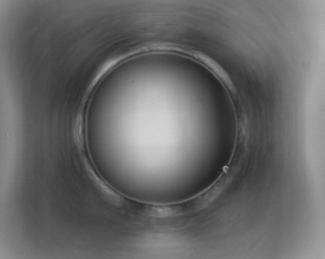 X0000113900911200909241435