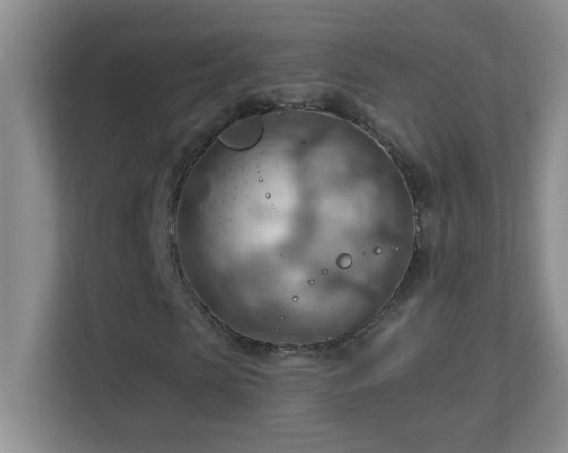 X0000113900913200909241434