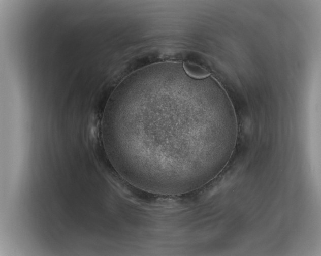 X0000113900914200909241434