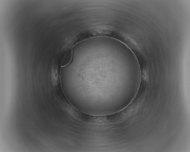 X0000113900915200909241434