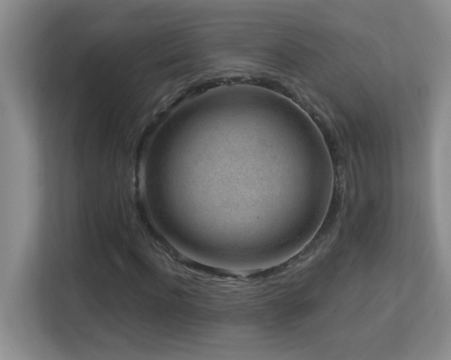 X0000113900916200909241434