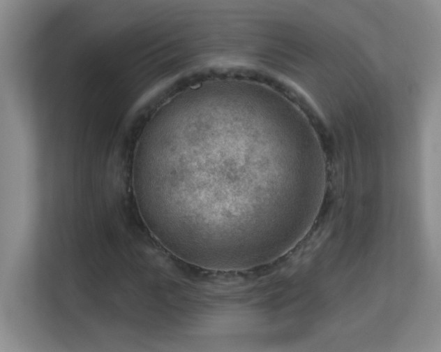 X0000113900919200909241434
