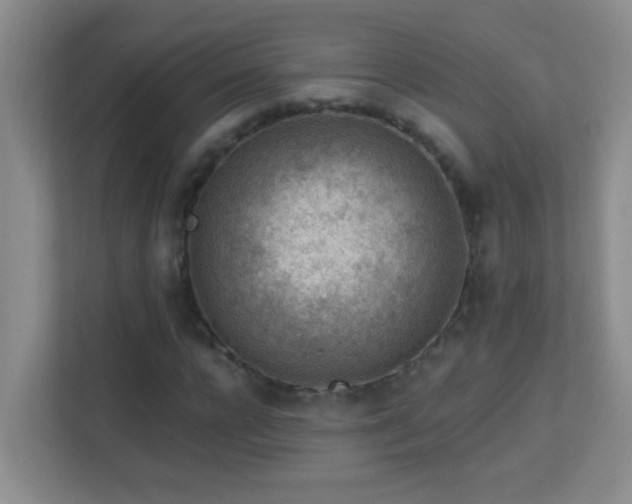 X0000113900920200909241434