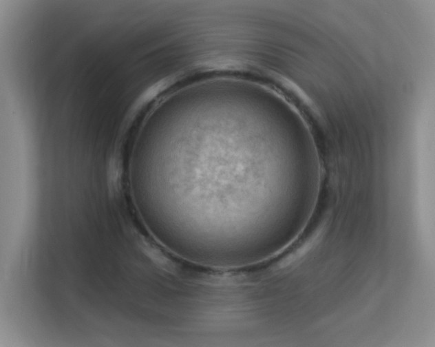X0000113900922200909241434