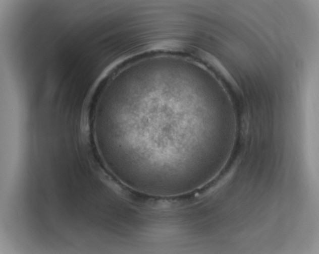 X0000113900923200909241434