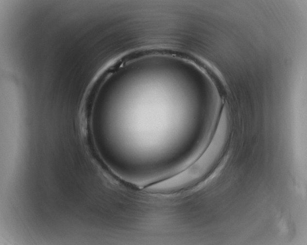 X0000113900925200909241434