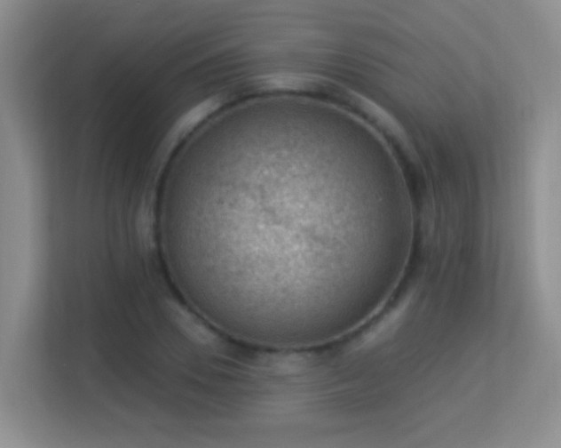 X0000113900930200909241434