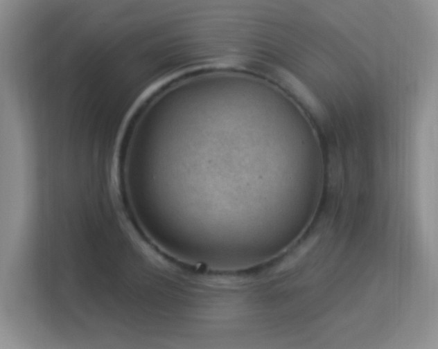 X0000113900932200909241434
