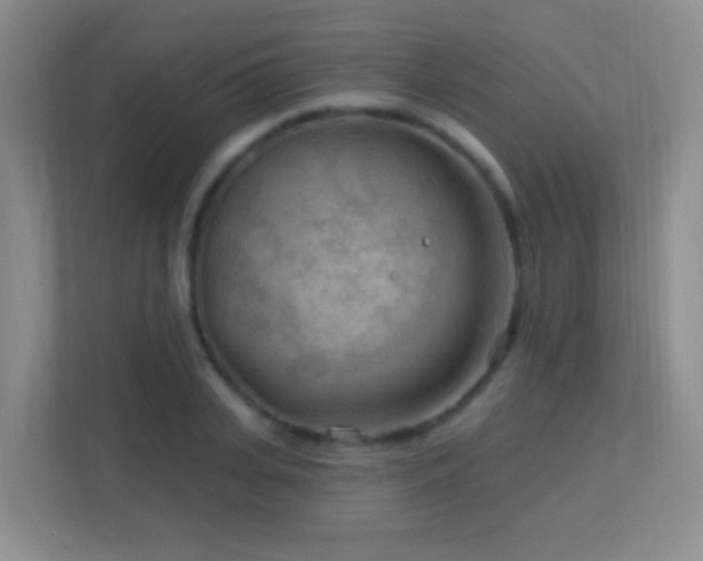 X0000113900935200909241434