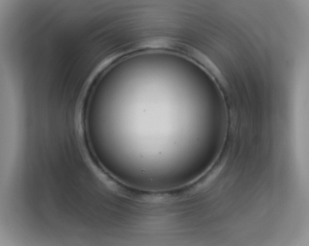 X0000113900939200909241434
