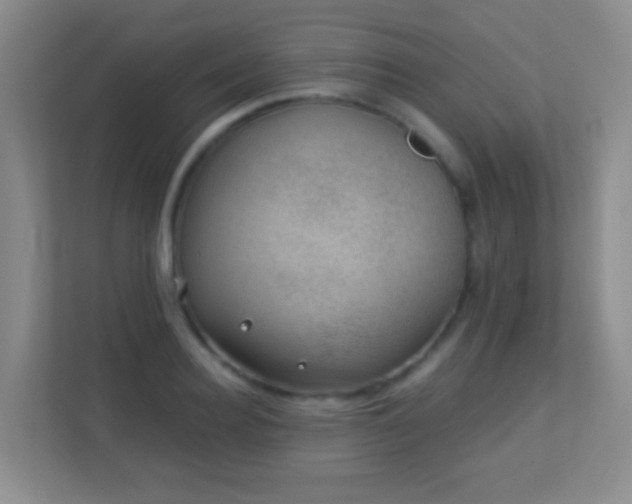 X0000113900940200909241434