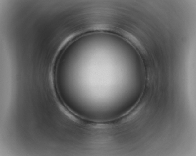 X0000113900942200909241434