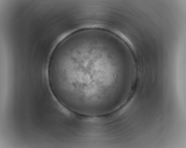 X0000113900943200909241434