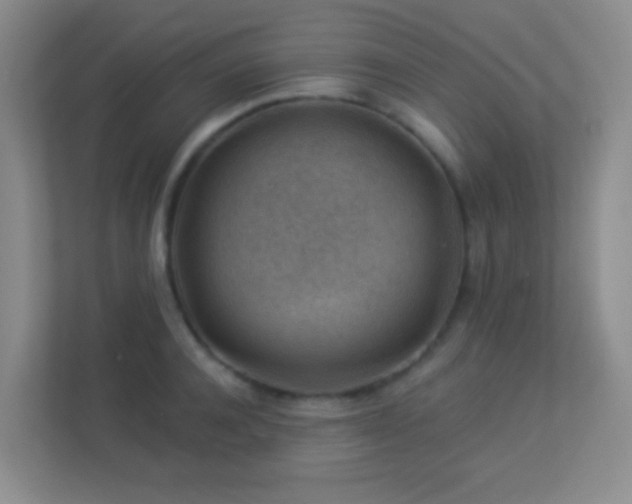 X0000113900944200909241434