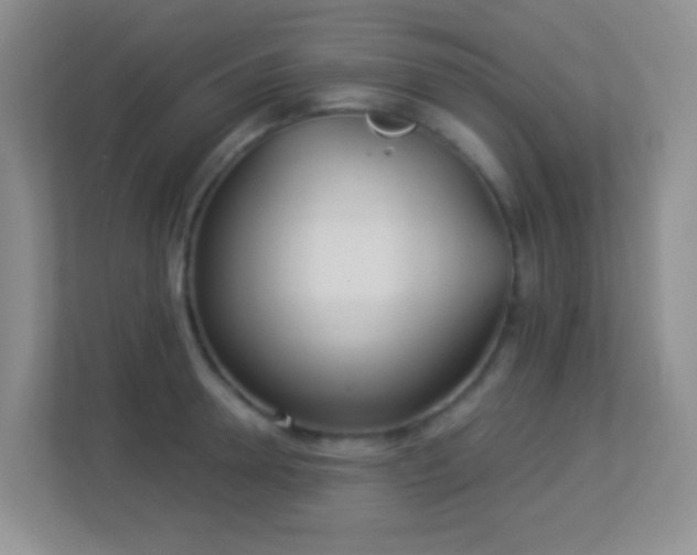 X0000113900946200909241434