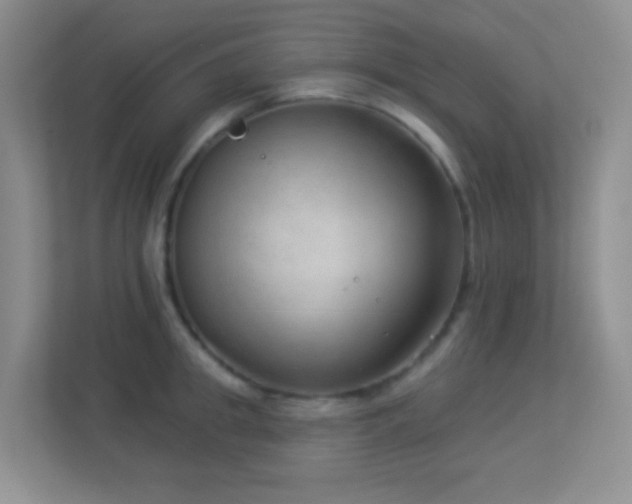 X0000113900949200909241434