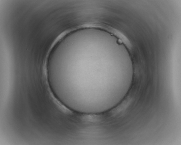 X0000113900950200909241434