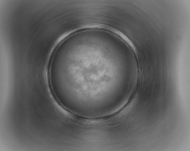 X0000113900951200909241434