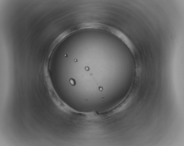 X0000113900954200909241435