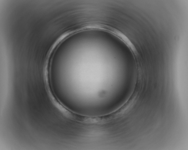 X0000113900955200909241435