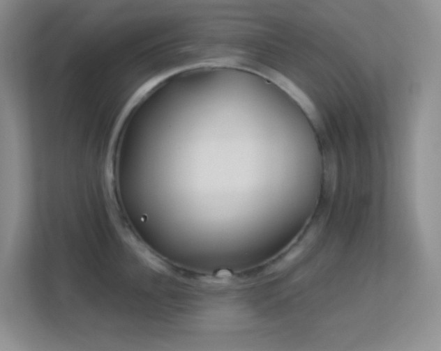 X0000113900956200909241435