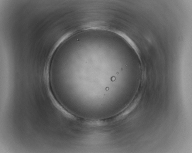 X0000113900957200909241435