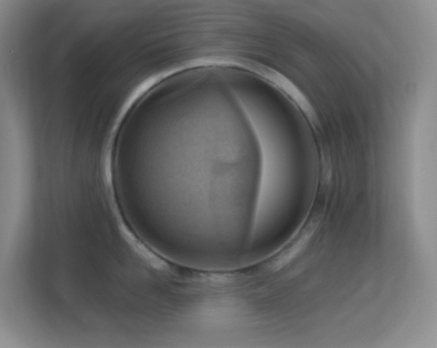 X0000113900958200909241435