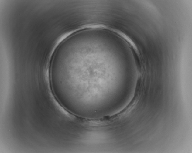 X0000113900959200909241435