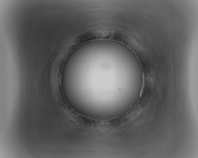 X0000113900961200909241434