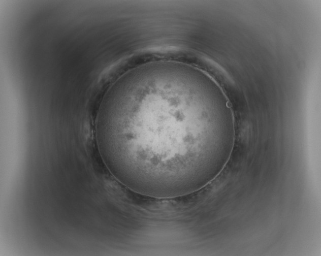 X0000113900966200909241434