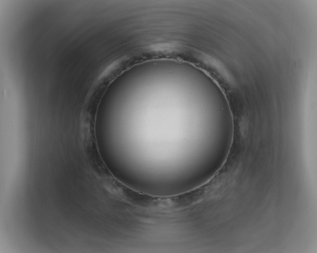 X0000113900968200909241434