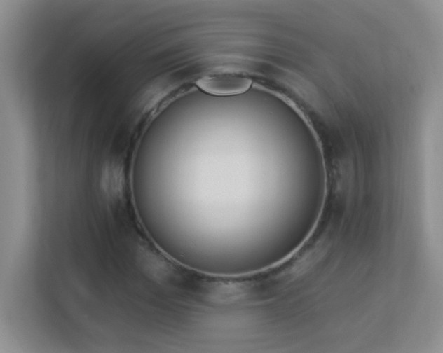 X0000113900969200909241434