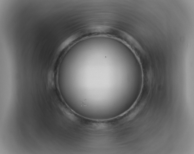 X0000113900970200909241434