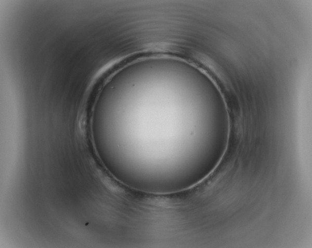X0000113900971200909241434